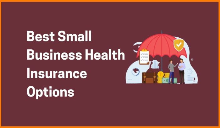 Best Health Insurance Options for Small Businesses r Startups